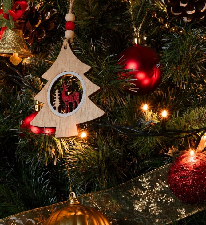 ΧΙΟΣ ΧΡΙΣΤΟΥΓΕΝΝΙΑΤΙΚΟ ΔΕΝΤΡΟ ΕΜΠΡΗΣΜΟΣ ΑΝΑΠΤΗΡΑΣ