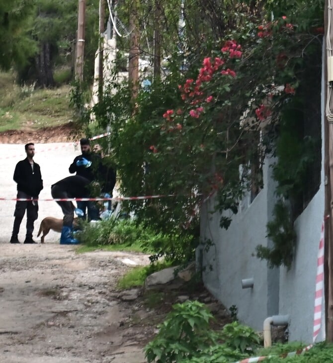 ΣΑΛΑΜΙΝΑ ΔΟΛΟΦΟΝΙΑ ΝΕΟ ΗΧΗΤΙΚΟ ΝΤΟΚΟΥΜΕΝΤΟ