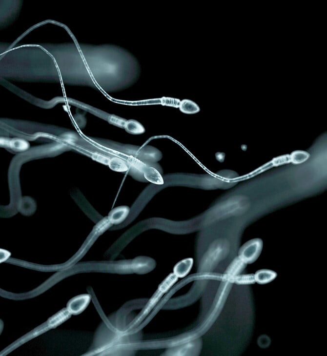 Σπέρμα από δότη με καρκινικό γονίδιο χρησιμοποιήθηκε για τη σύλληψη σχεδόν 200 παιδιών