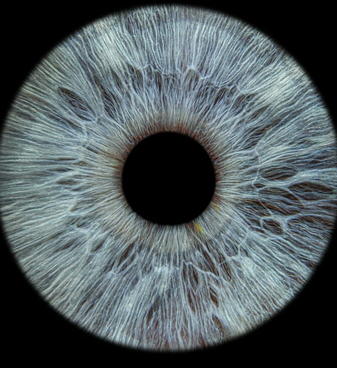 ΚΕΡΑΤΟΕΙΔΗΣ 3D ΕΚΤΥΠΩΣΗ ΟΡΑΣΗ