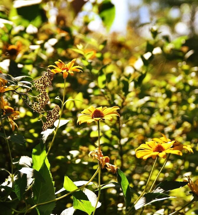 ΚΑΙΡΟΣ ΣΑΒΒΑΤΟΚΥΡΙΑΚΟ