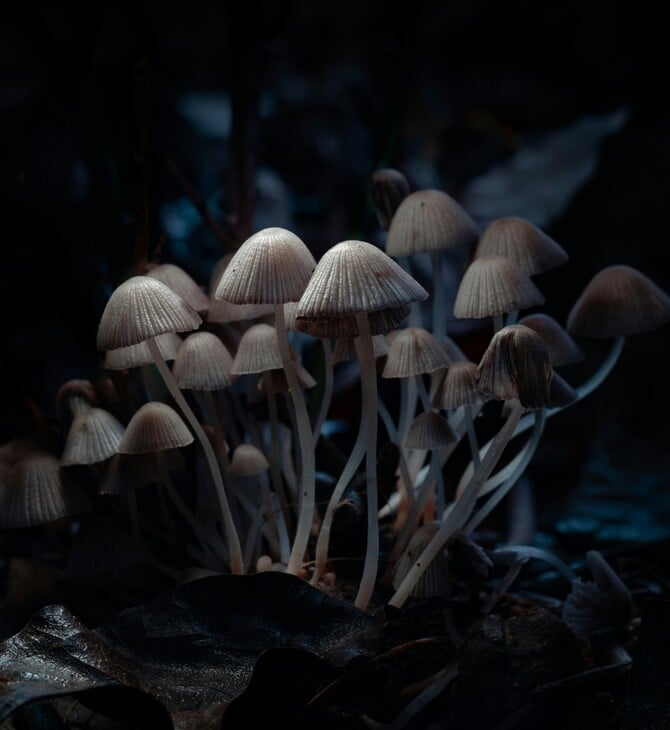 ΨΥΧΕΔΕΛΙΚΕΣ ΘΕΡΑΠΕΙΕΣ ΜΑΓΙΚΑ ΜΑΝΙΤΑΡΙΑ OCD