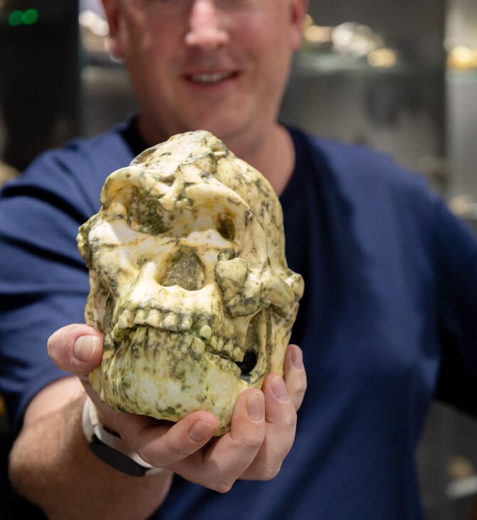 Απολίθωμα-ορόσημο ενδέχεται να ανήκει σε άγνωστο πρόγονο του ανθρώπου