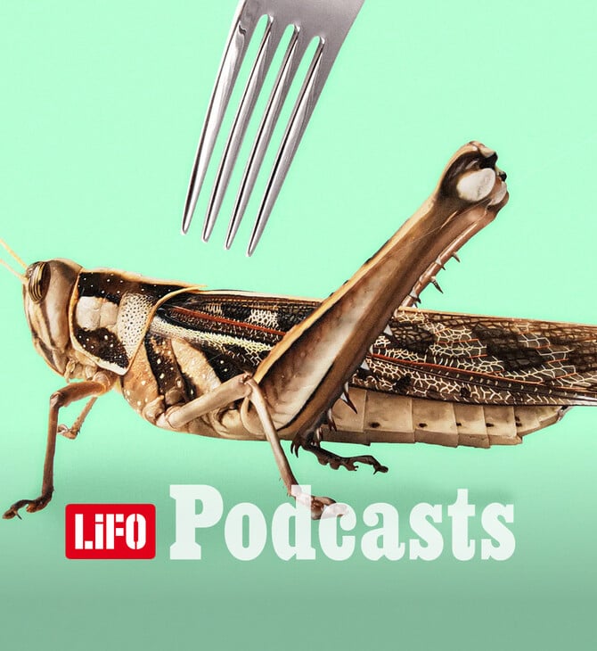 «Η εντομοφαγία μπαίνει σταδιακά στη διατροφή μας»