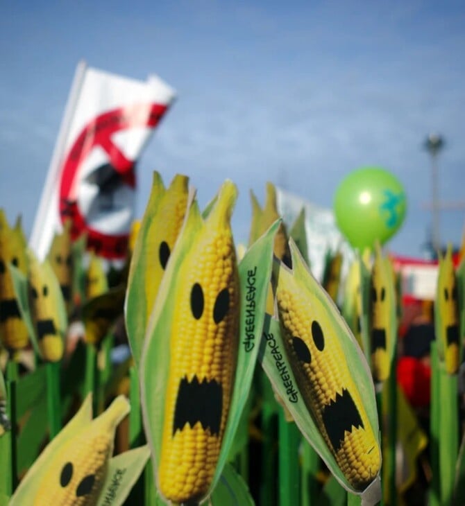 GREENPEACE ΝΕΑ ΜΕΤΑΛΛΑΓΜΕΝΑ