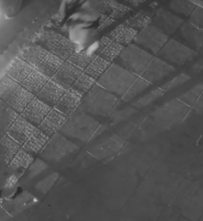 ΧΑΛΑΝΔΡΙ ΓΙΟΣ ΚΑΤΡΙΝΗ