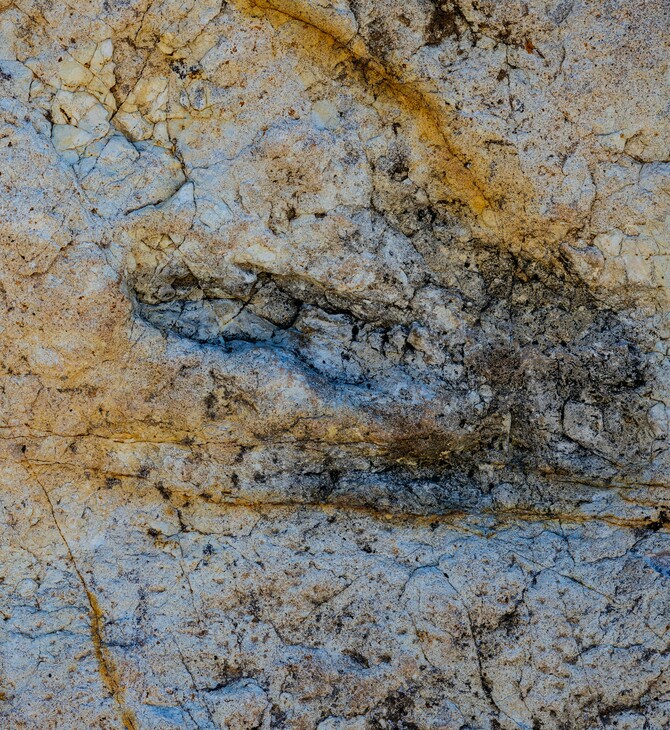 Ιταλία: Χιλιάδες αποτυπώματα δεινοσαύρων εντοπίστηκαν σε εθνικό πάρκο