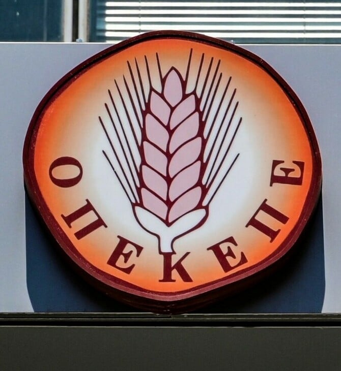 ΟΠΕΚΕΠΕ ΛΟΓΙΣΤΗΣ ΠΡΟΦΥΛΑΚΙΣΗ