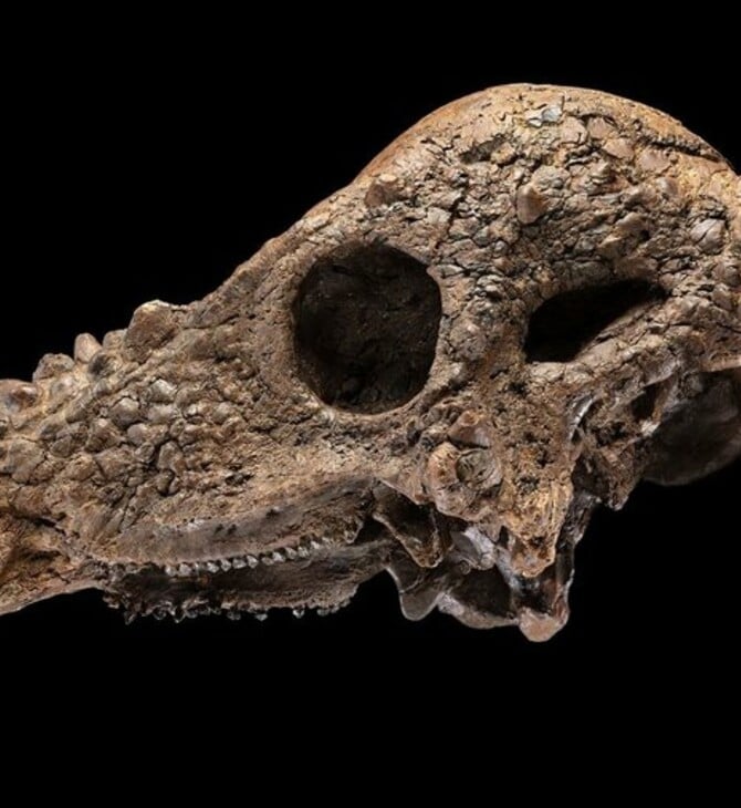 ΔΕΙΝΟΣΑΥΡΟΣ ΟΥΑΣΙΝΓΚΤΟΝ