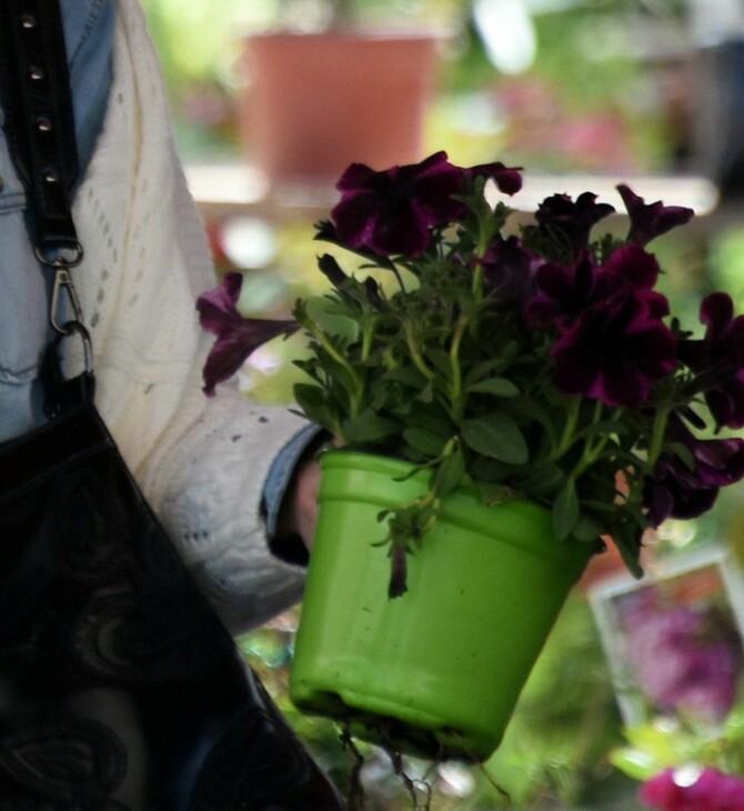Λαϊκές αγορές: Το εορταστικό ωράριο