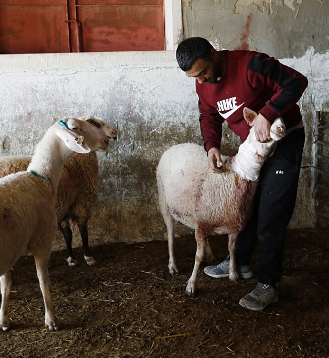 ΔΥΤΙΚΗ ΟΧΘΗ ΕΠΟΙΚΟΙ ΠΡΟΒΑΤΑ ΧΗΜΙΚΑ