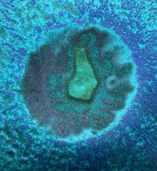 Επιστήμονες έφτιαξαν αντίγραφο του ενδομητρίου και εμφύτευσαν έμβρυα σε πρώιμο στάδιο