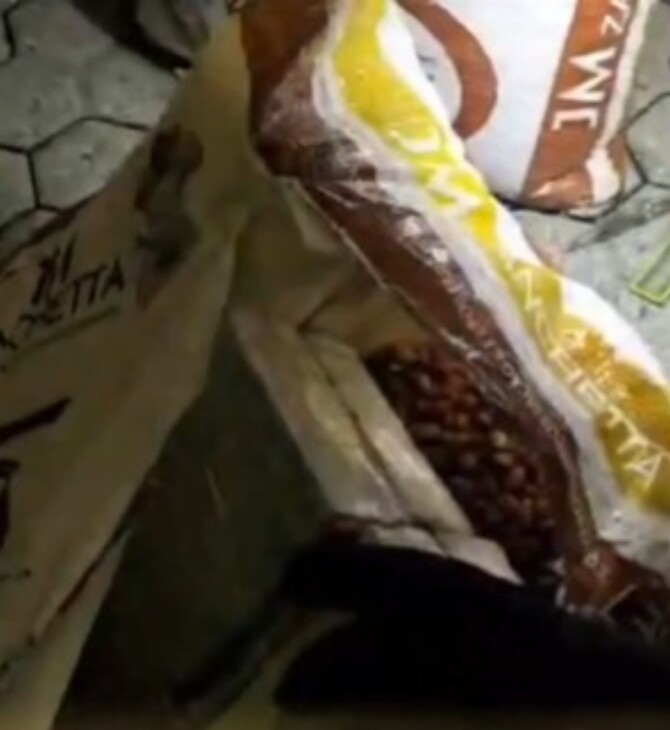 ΚΟΚΑΙΝΗ ΦΙΣΤΙΚΙΑ ΙΤΑΛΙΑ