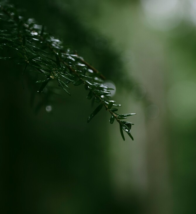 ΚΑΙΡΟΣ ΚΑΚΟΚΑΙΡΙΑ ΕΚΤΑΚΤΟ ΕΜΥ