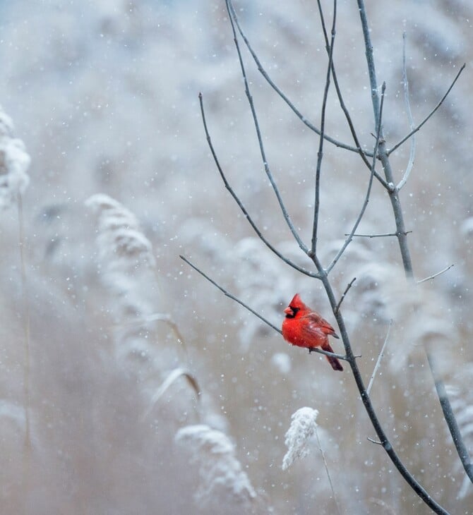 ΚΑΙΡΟΣ ΠΡΩΤΟΧΡΟΝΙΑ ΑΛΛΑΖΕΙ