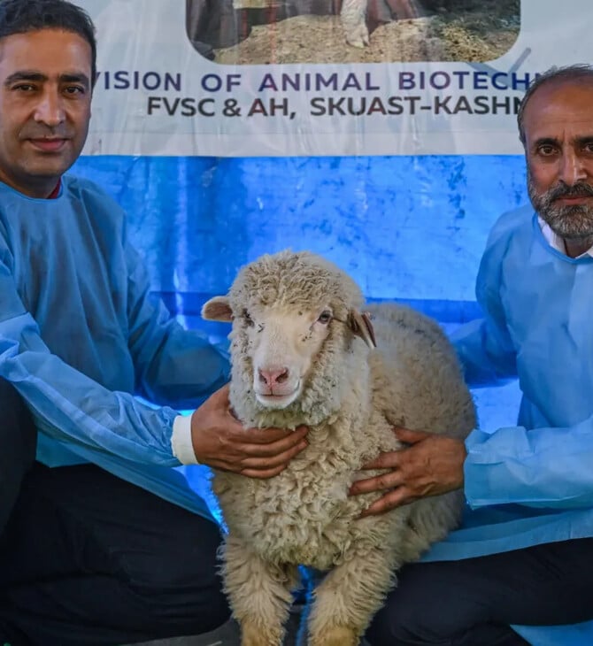 ΠΡΟΒΑΤΟ ΙΝΔΙΑ ΓΕΝΕΤΙΚΗ ΕΠΕΞΕΡΓΑΣΙΑ