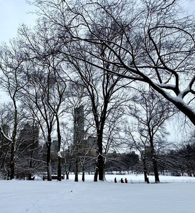 Σφοδρές χιονοπτώσεις στη Νέα Υόρκη: Χάος στις μετακινήσεις και τα αεροδρόμια
