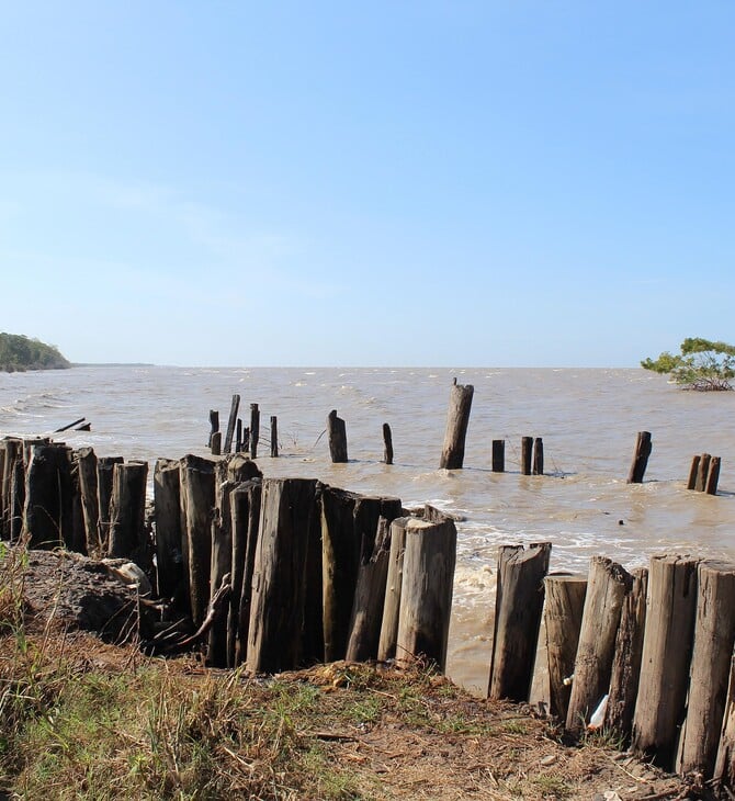 ΠΑΙΔΙΑ ΔΟΛΟΦΟΝΙΑ ΣΟΥΡΙΝΑΜ ΠΑΤΕΡΑΣ ΜΑΧΑΙΡΙ