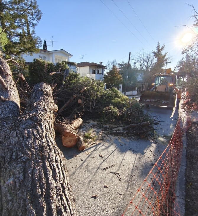 ΘΕΣΣΑΛΟΝΙΚΗ ΑΝΕΜΟΣ ΚΑΚΟΚΑΙΡΙΑ ΠΤΩΣΗ ΔΕΝΤΡΩΝ