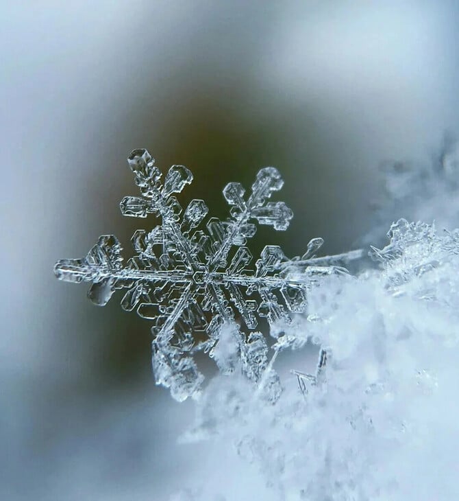 ΚΑΙΡΟΣ ΠΡΩΤΟΧΡΟΝΙΑ ΚΟΛΥΔΑΣ