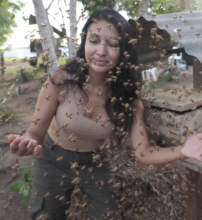 ΑΚΕΝΤΡΕΣ ΜΕΛΙΣΣΕΣ ΤΟΥ ΑΜΑΖΟΝΙΟΥ ΝΟΜΙΚΑ ΔΙΚΑΙΩΜΑΤΑ