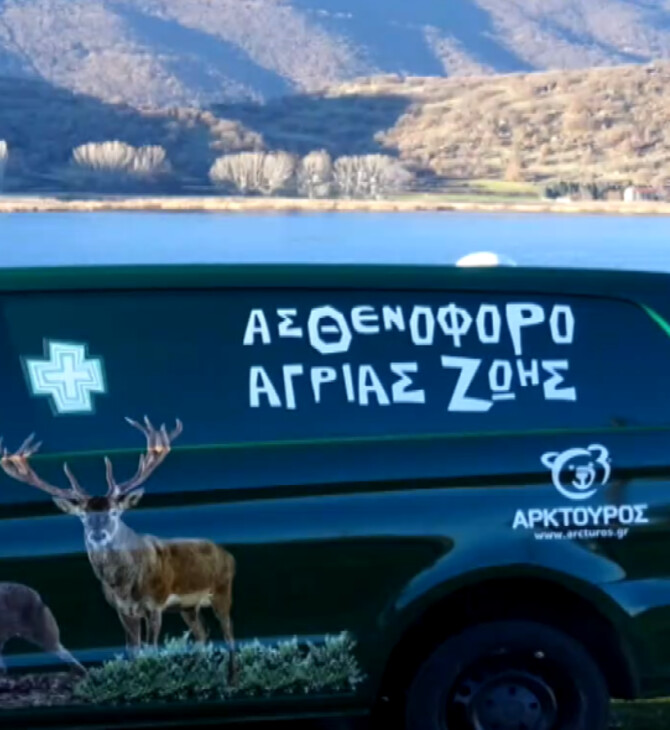 ΑΡΚΤΟΥΡΟς ΑΣΘΕΝΟΦΟΡΟ