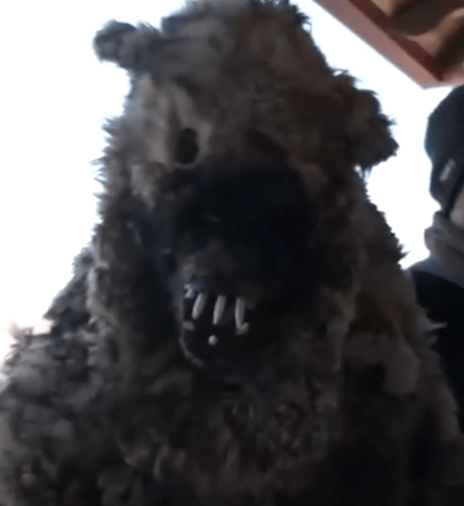 ΡΟΥΓΚΑΤΣΑΡΙΑ ΓΡΕΒΕΝΑ ΕΘΙΜΟ ΠΡΩΤΟΧΡΟΝΙΑ