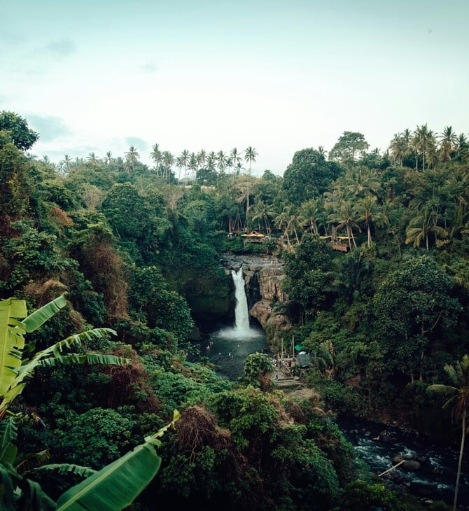 ΑΜΑΖΟΝΙΟΣ ΥΠΟΤΡΟΠΙΚΟ ΚΛΙΜΑ