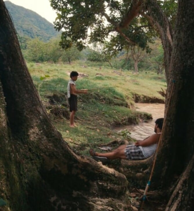 Ο θρήνος των τζιτζικιών