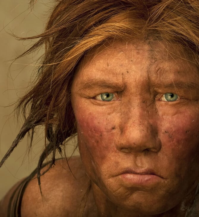 ΕΡΕΥΝΑ ΠΟΝΟΣ ΝΕΑΝΤΕΡΤΑΛ