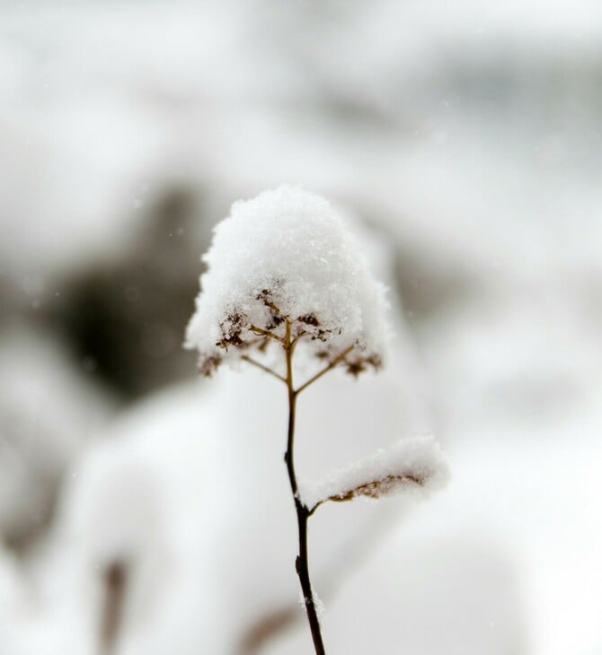 Μαρουσάκης: Προειδοποιεί για νέα κακοκαιρία - Έρχεται ψυχρή εισβολή το Σαββατοκύριακο