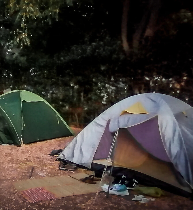 ΦΟΙΝΙΚΟΥΝΤΑ ΔΟΛΟΦΟΝΙΑ ΑΠΟΛΟΓΙΑ