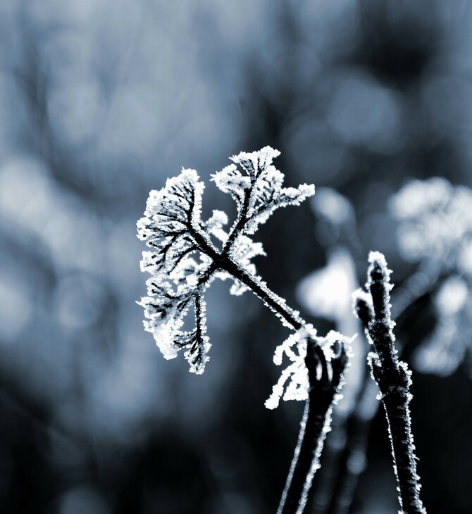 Μαρουσάκης: Προ των πυλών νέα κακοκαιρία - Επιστρέφει το τσουχτερό κρύο και τα χιόνια