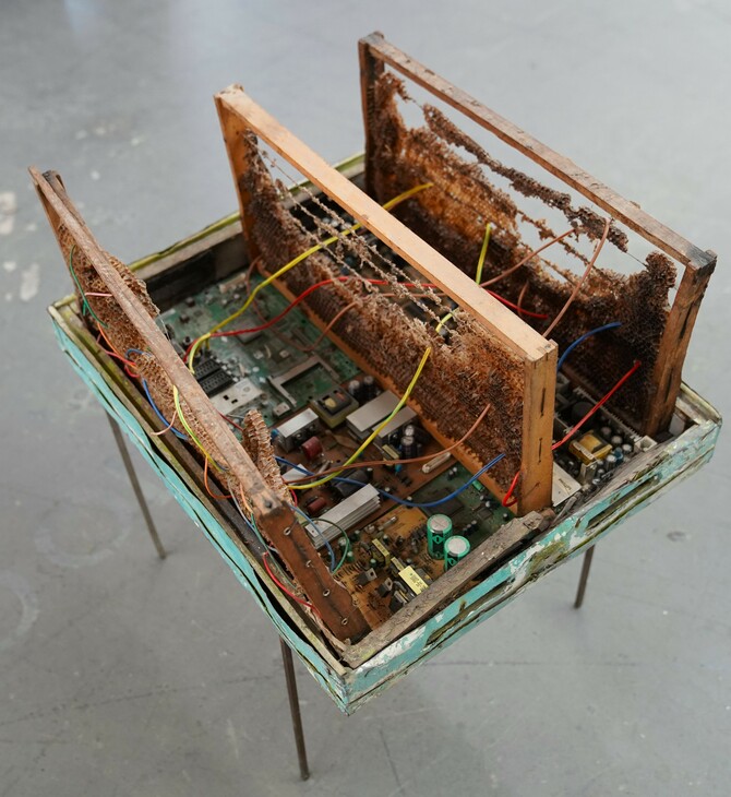 Ειρήνη Ταμπασούλη: Nidus