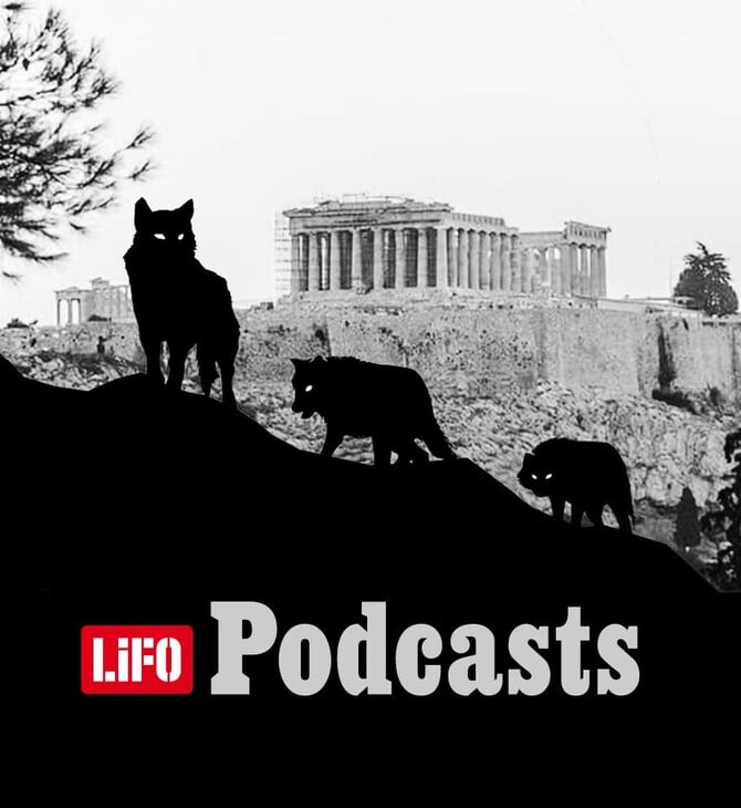 Λύκε, λύκε, είσαι εδώ; Όταν η άγρια ζωή φτάνει στην αυλή μας