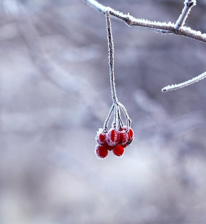 Καιρός: Θυελλώδης βοριάς από τη Μαύρη Θάλασσα φέρνει ψύχος και χιόνια σήμερα στη χώρα