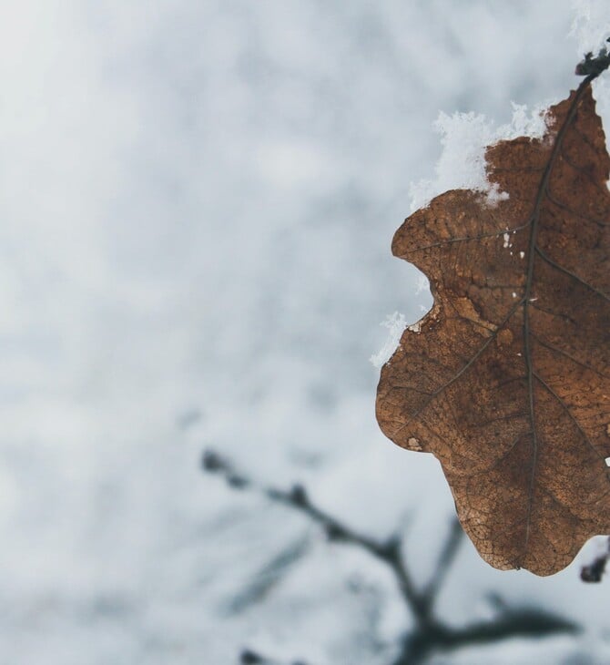 ΚΑΙΡΟΣ ΨΥΧΟΣ ΚΡΥΟ ΚΟΛΥΔΑΣ ΑΤΤΙΚΗ