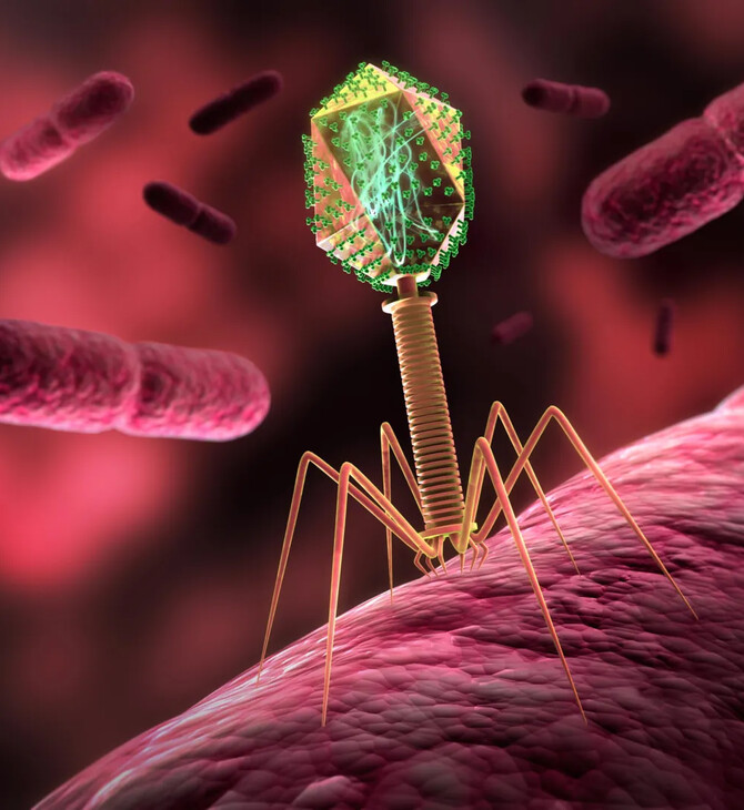 ΔΙΑΣΤΗΜΑ ΙΟΙ