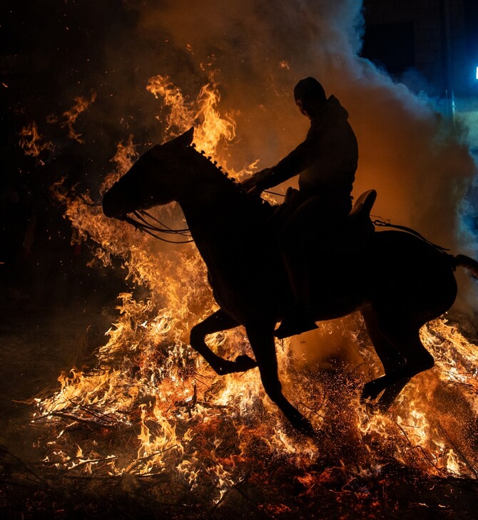 ΙΣΠΑΝΙΑ ΑΛΟΓΟ ΑΓΙΟΣ ΑΝΤΩΝΙΟΣ