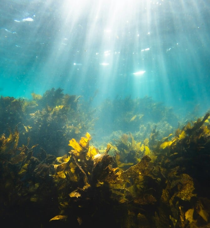ΦΥΚΙΑ ΩΚΕΑΝΟΙ ΘΑΛΑΣΣΑ ΡΥΠΑΝΣΗ
