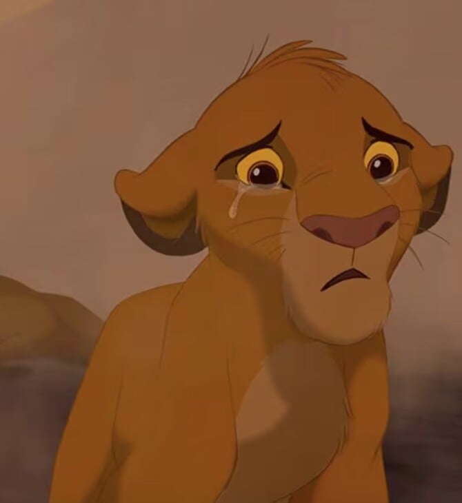 ΒΑΣΙΛΙΑΣ ΛΙΟΝΤΑΡΙΩΝ ΣΚΗΝΟΘΕΤΗΣ ΠΕΘΑΝΕ