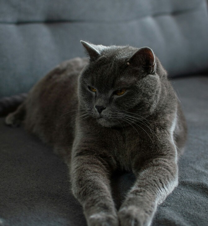 Η καθιστική ζωή μπορεί να έχει οφέλη για τον εγκέφαλο