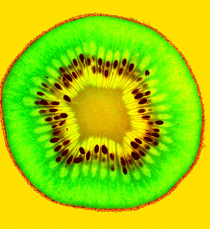 «Οι καταναλωτές δεν θα γνωρίζουν τι τρώνε και οι αγρότες τι καλλιεργούν»