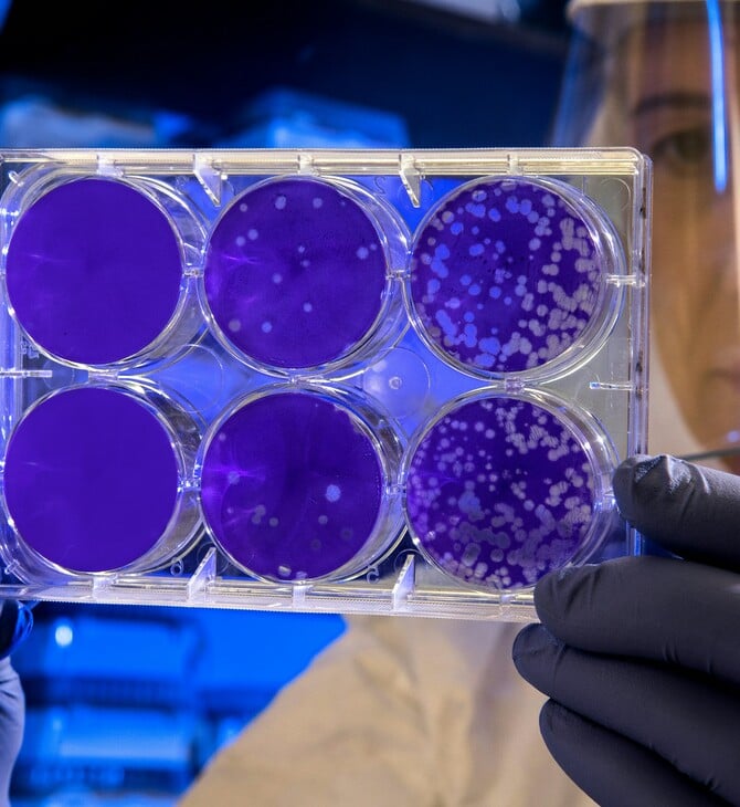 Nipah: Ποια τα συμπτώματα του θανατηφόρου ιού που εξαπλώνεται στην Ινδία