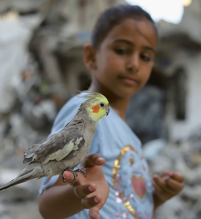 Φάτμα Χασόνα: Η τελευταία φωτορεπόρτερ της Γάζας