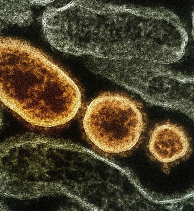 Γρίπη: Δεκάδες κρούσματα στα νοσοκομεία - Κυριαρχεί η υποπαραλλαγή Κ