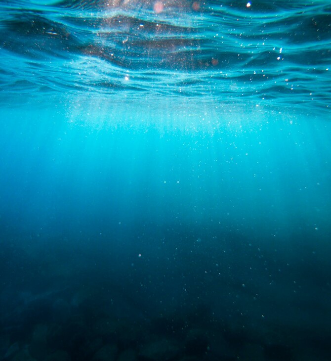 ΕΞΑΦΑΝΙΣΗ ΑΝΘΡΩΠΟΥ ΓΗ ΕΙΔΟΣ