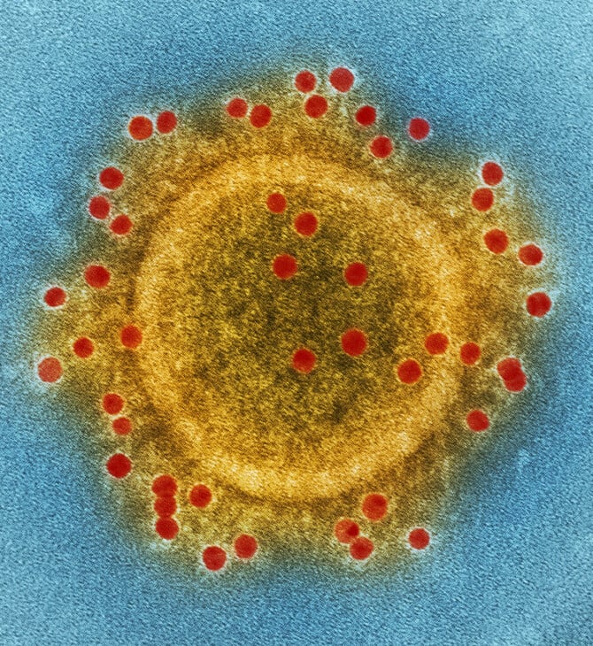 Nipah: Τι είναι, πού εντοπίζεται και πώς μεταδίδεται ο επικίνδυνος ιός