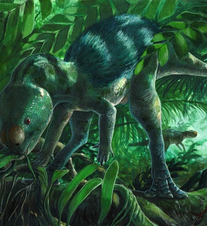 ΔΕΙΝΟΣΑΥΡΟΙ ΑΠΟΛΙΘΩΜΑΤΑ ΕΞΕΛΙΞΗ