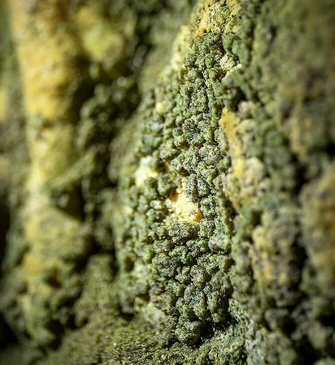 ΣΠΗΛΑΙΟ ΑΝΑΚΑΛΥΨΗ ΕΠΙΣΤΗΜΟΝΕΣ